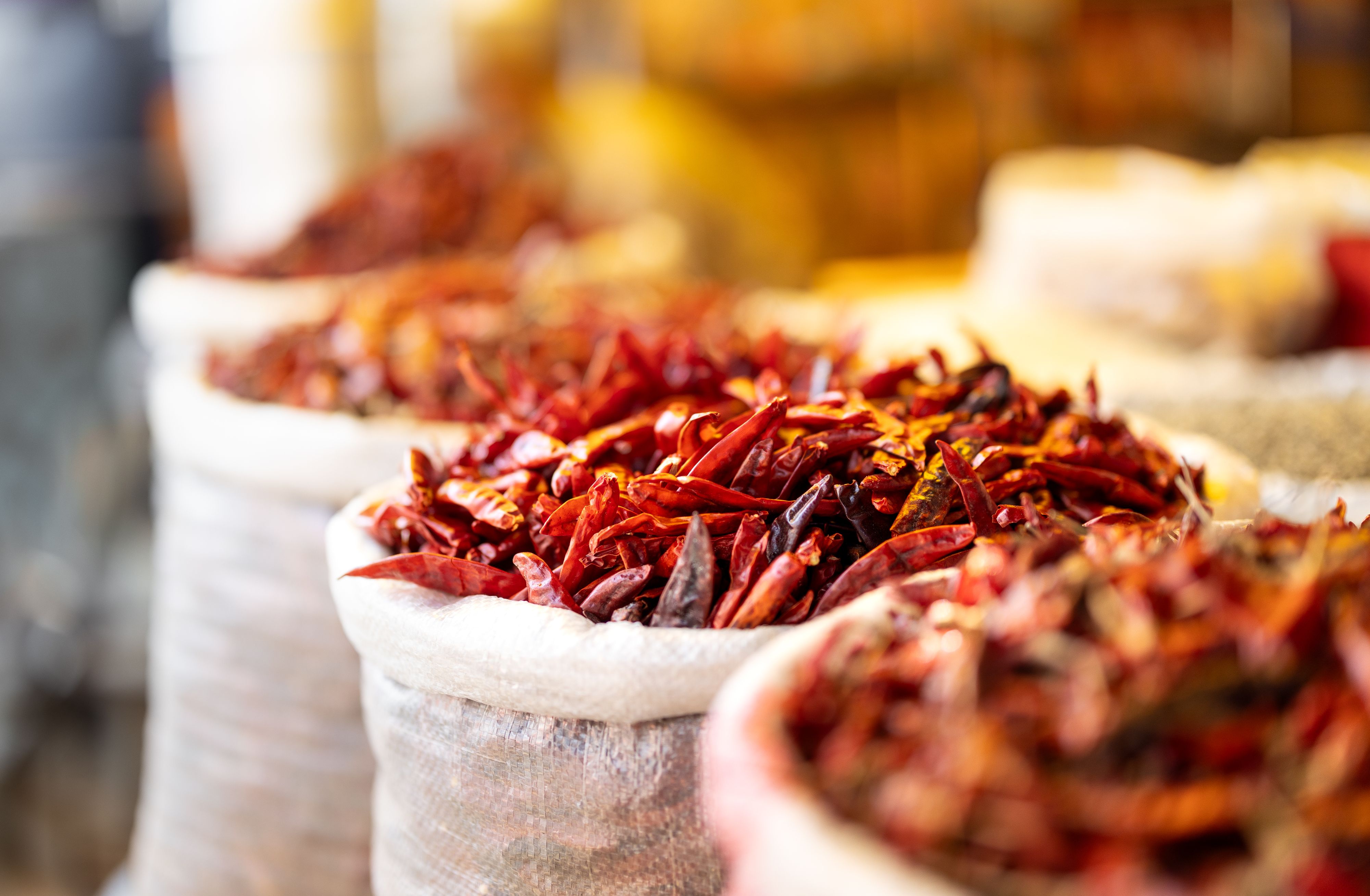 Sacks of dried red chillies at a market