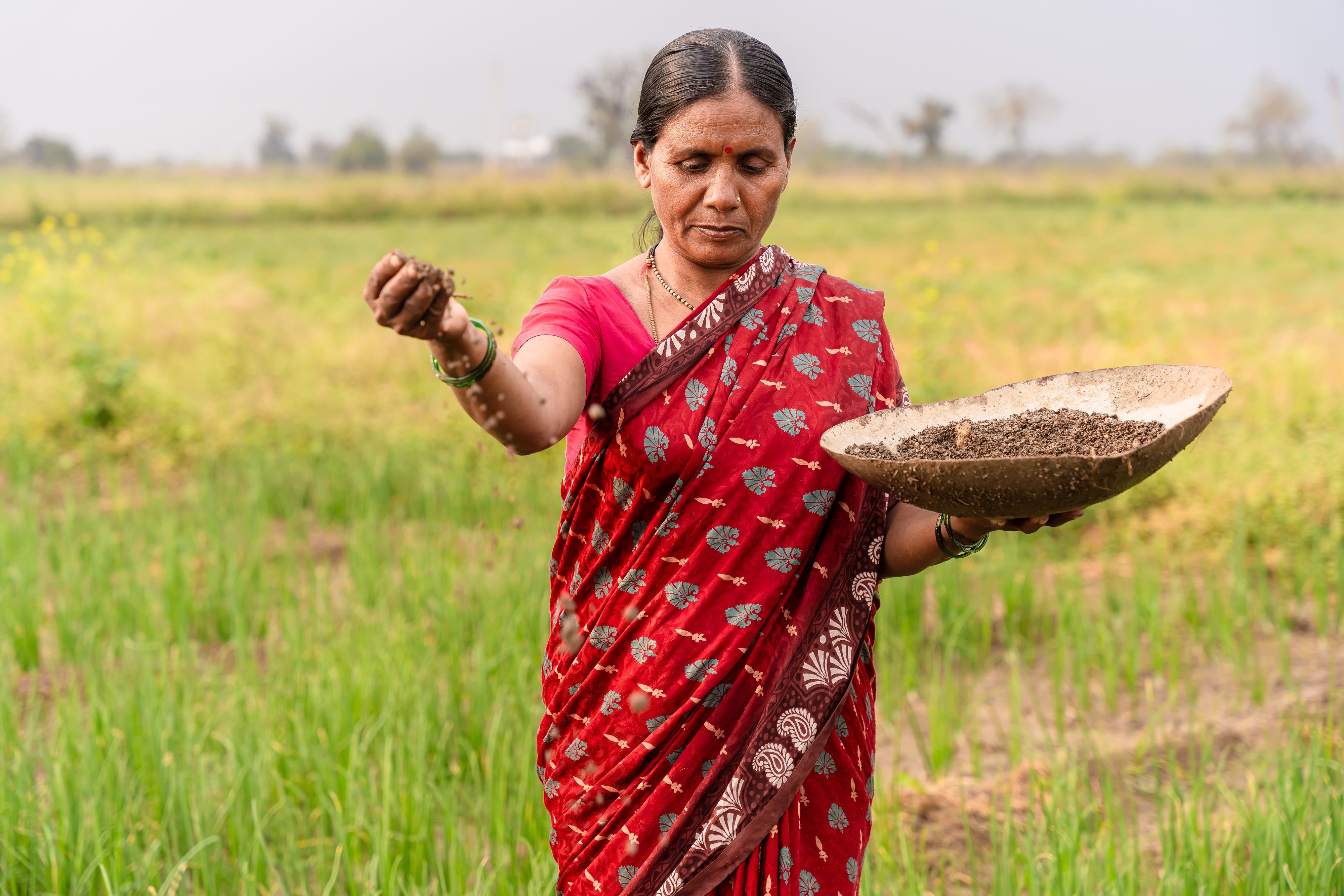 A woman in a red sari sowing seed across a field