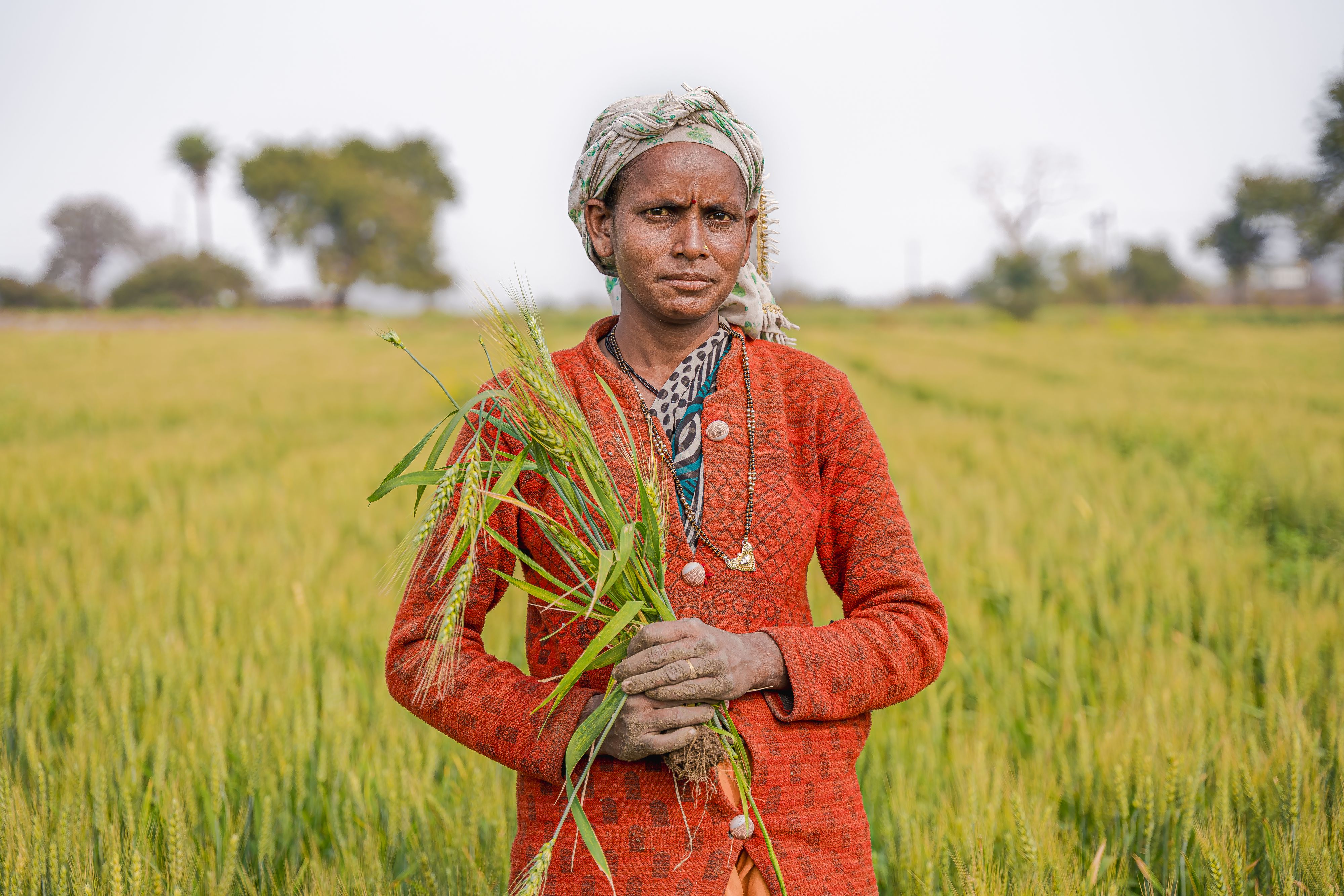 A woman farmer holding a young crop